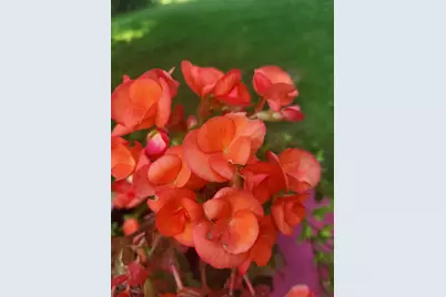 25 Marshall Avenue, Hartford, VT 05001 - Photo 52