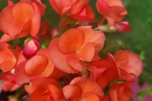 25 Marshall Ave, Hartford, VT 05001 - Photo 52