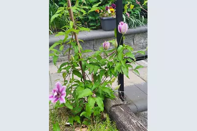 25 Marshall Avenue, Hartford, VT 05001 - Photo 50