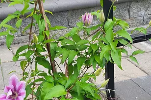 25 Marshall Ave, Hartford, VT 05001 - Photo 50