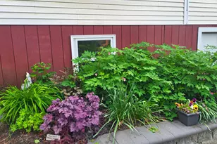 25 Marshall Ave, Hartford, VT 05001 - Photo 46