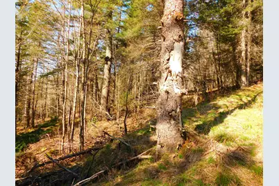 0 Piper Hill Road, Colebrook, NH 03576 - Photo 18