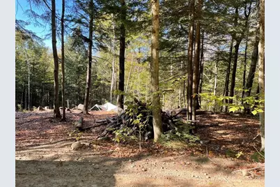 341 Perkins Hill Road #7, Alexandria, NH 03222 - Photo 8