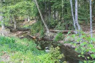 158 Pollard Rd, Lincoln, NH 03251 - Photo 12