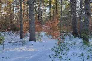 29 Milford Ave, Freedom, NH 03836 - Photo 8