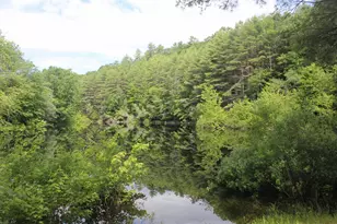 27B Woodland Way, Plymouth, NH 03264 - Photo 12