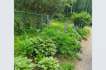 28 Washington Avenue, Bartlett, NH 03845 - Photo 52