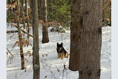 00 Route 25 W, Tamworth, NH 03883 - Photo 8