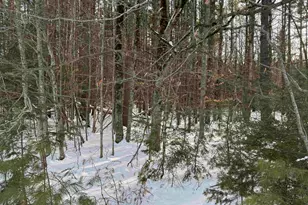 00 Route 25 W, Tamworth, NH 03883 - Photo 1