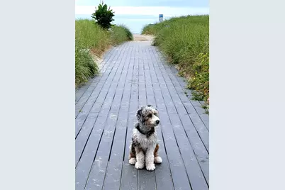 108 Ocean Drive #Unit 1, Seabrook, NH 03874 - Photo 6