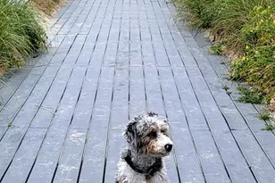 108 Ocean Dr, Seabrook, NH 03874 - Photo 6