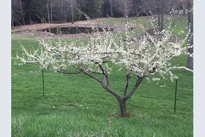 184 Deerfield Road, Nottingham, NH 03290 - Photo 40