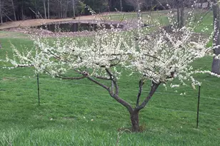 184 Deerfield Rd, Nottingham, NH 03290 - Photo 40