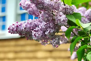 35 Pinnacle Ridge Rd, Meredith, NH 03253 - Photo 34