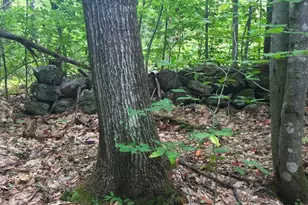 35 Pinnacle Ridge Rd, Meredith, NH 03253 - Photo 52