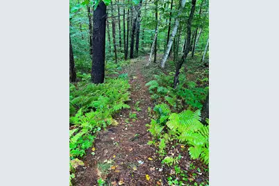 35 Pinnacle Ridge Road, Meredith, NH 03253 - Photo 48