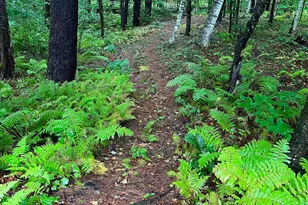 35 Pinnacle Ridge Rd, Meredith, NH 03253 - Photo 48