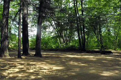 330 Newman Drew Road, Ossipee, NH 03890 - Photo 4