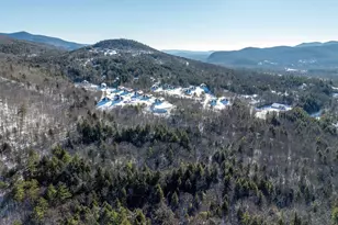 P61 Christmas Mountain Rd, Bartlett, NH 03838 - Photo 32