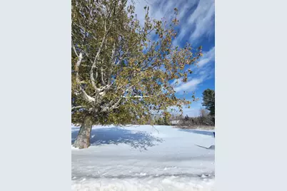 000 Mountain View Road, Whitefield, NH 03598 - Photo 4