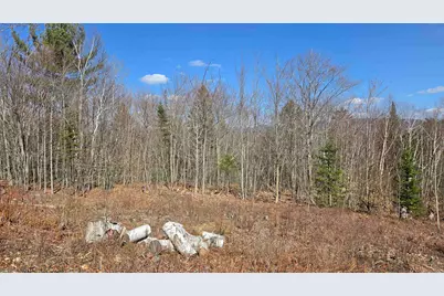 Cates Hill Road, Berlin, NH 03570 - Photo 4