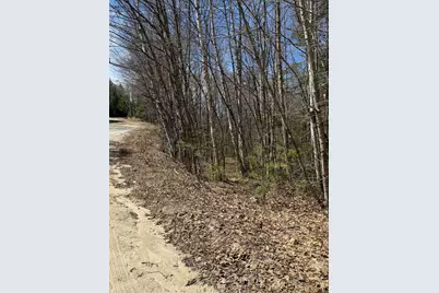 Lot 1 Welch View Drive, Thornton, NH 03285 - Photo 12