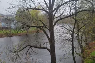 11 Souhegan St, Milford, NH 03055 - Photo 8