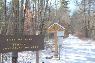 8 Teaberry Ln, Bedford, NH 03110 - Photo 22