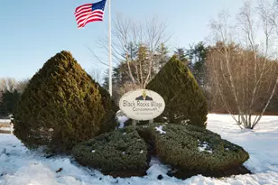 91-6 Hall Rd, Fremont, NH 03044 - Photo 38