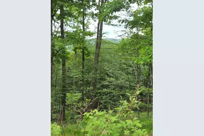 1046 Kings Highway, Stoddard, NH 03464 - Photo 32