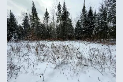 40 Bear Paw Trail, Littleton, NH 03561 - Photo 10