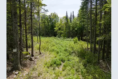 40 Bear Paw Trail, Littleton, NH 03561 - Photo 1