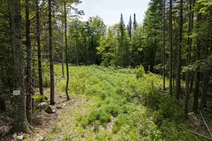40 Bear Paw Trl, Littleton, NH 03561 - Photo 1