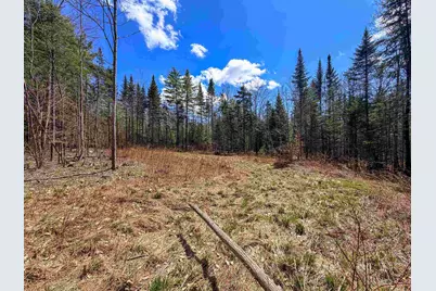 40 Bear Paw Trail, Littleton, NH 03561 - Photo 16