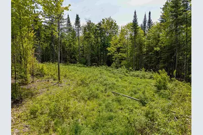 40 Bear Paw Trail, Littleton, NH 03561 - Photo 1
