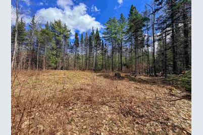 40 Bear Paw Trail, Littleton, NH 03561 - Photo 2