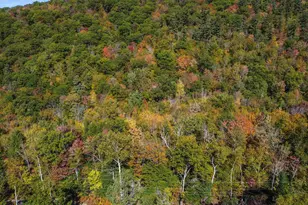 137 Reservoir Rd, Campton, NH 03223 - Photo 22