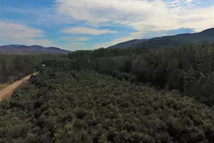 213-023-1 Yeaton Rd, Plymouth, NH 03264 - Photo 1