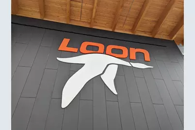 4A Firelight Lane #4B, Lincoln, NH 03251 - Photo 16