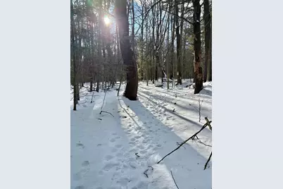 Lot 80-1 Currier Road, Candia, NH 03034 - Photo 14