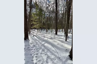 Lot 80-1 Currier Road, Candia, NH 03034 - Photo 20
