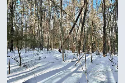 Lot 80-1 Currier Road, Candia, NH 03034 - Photo 4