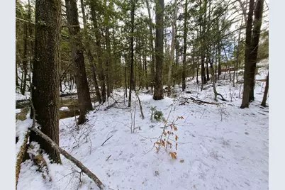 525 Richmond Road, Winchester, NH 03470 - Photo 8