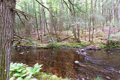 525 Richmond Road, Winchester, NH 03470 - Photo 10