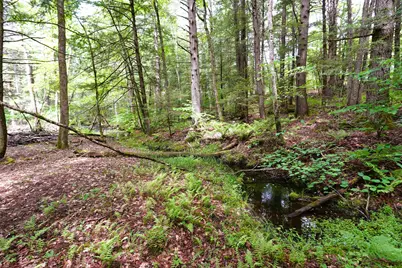 525 Richmond Road, Winchester, NH 03470 - Photo 12