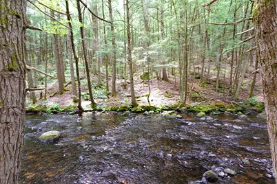 525 Richmond Road, Winchester, NH 03470 - Photo 2
