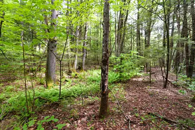 525 Richmond Road, Winchester, NH 03470 - Photo 6