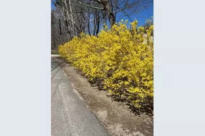 5 Alden Avenue, North Hampton, NH 03862 - Photo 48