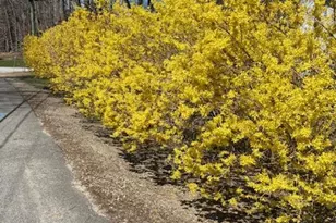 5 Alden Ave, North Hampton, NH 03862 - Photo 48