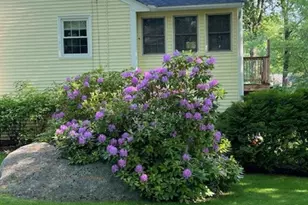 5 Alden Ave, North Hampton, NH 03862 - Photo 54